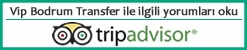 Tripadvisor Reviews